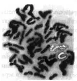 Ничего не понимаю сказала Андреа Присмотритесь внимательнее Генри - фото 9