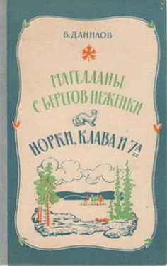 Владимир Данилов Норки, Клава и 7А обложка книги