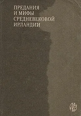 Ирландские саги Сватовство к Этайн обложка книги