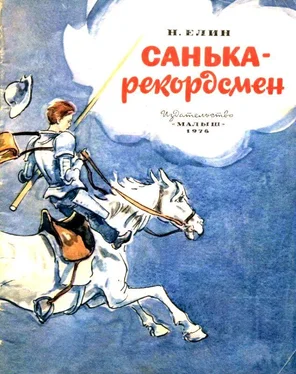 Николай Елин Санька - рекордсмен обложка книги