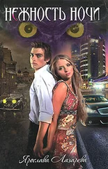 Ярослава Лазарева - Нежность ночи