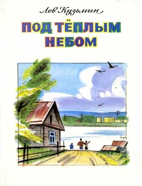 Лев Кузьмин Под тёплым небом обложка книги