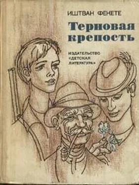 Иштван Фекете Терновая крепость обложка книги