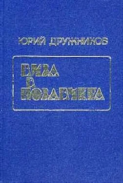 Юрий Дружников Рассказы и притчи обложка книги