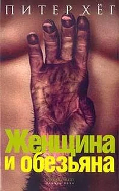 Питер Хёг Женщина и обезьяна обложка книги