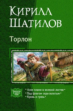 Кирилл Шатилов Алое пламя в зеленой листве (фрагмент) обложка книги