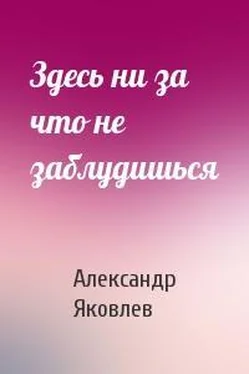 Александр Яковлев Здесь ни за что не заблудишься обложка книги