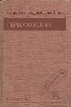 Павел Яковенко Первомайский обложка книги