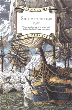 Cecil Forester A Ship of the Line обложка книги