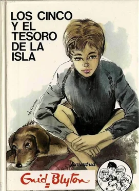 Enid Blyton Los Cinco Y El Tesoro De La Isla обложка книги