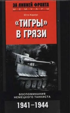 Отто Кариус Тигры в грязи. обложка книги