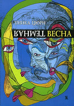 Уника Цюрн Темная весна обложка книги