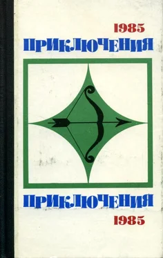 Неизвестный Автор Приключения-85 обложка книги
