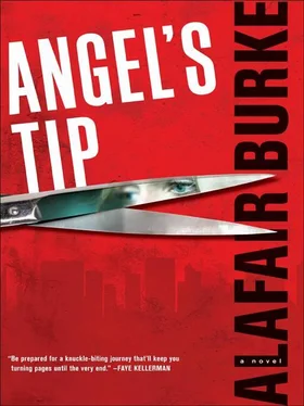 Alafair Burke Angel's Tip обложка книги