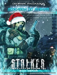 СБОРНИК - «ДОЖИВЕМ ДО ЯНВАРЯ»