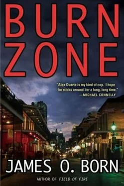 James Born Burn Zone обложка книги