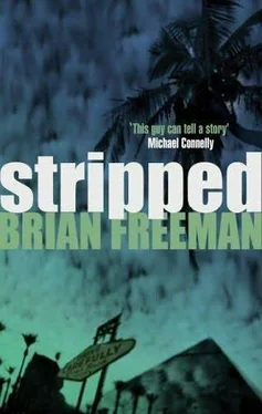 Brian Freeman Stripped обложка книги