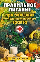 Светлана Дубровская - Правильное питание при болезнях желудочно-кишечного тракта