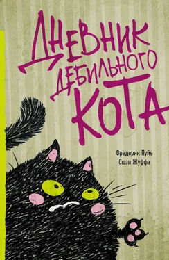 Сюзи Жуффа Дневник дебильного кота обложка книги