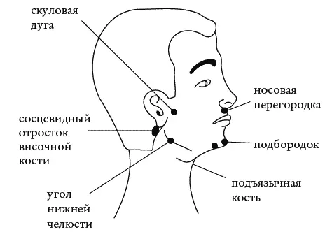 Рис 4 Выстукивание нижней челюсти ослабляет зубную и головную боли улучшает - фото 12