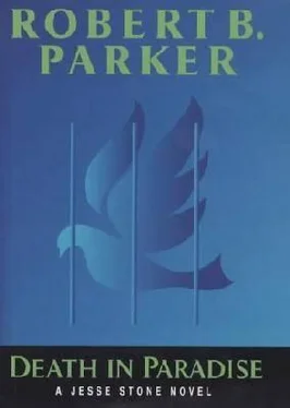 Robert Parker Death in Paradise обложка книги