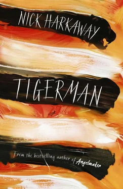 Ник Харкуэй Tigerman обложка книги