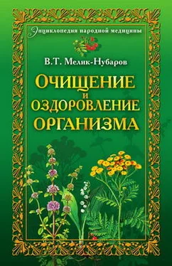 Вадим Мелик-Нубаров Очищение и оздоровление организма. Энциклопедия народной медицины