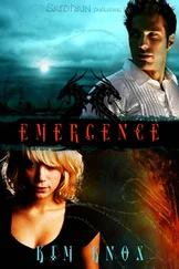 Kim Knox - Emergence