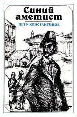 Петр Константинов Синий аметист обложка книги