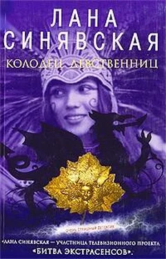 Лана Синявская Гнев чужих богов обложка книги