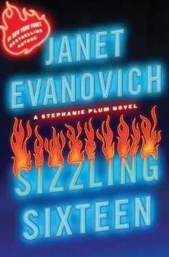 Janet Evanovich Sizzling Sixteen обложка книги