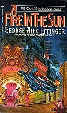George Effinger A Fire in the Sun обложка книги