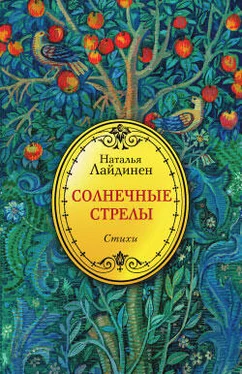 Наталья Лайдинен Солнечные стрелы обложка книги