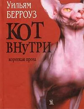 Уильям Берроуз Аллея торнадо обложка книги