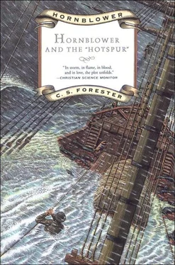 Cecil Forester Hornblower and the Hotspur обложка книги