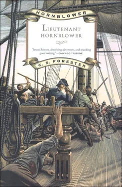 Cecil Forester Lieutenant Hornblower обложка книги