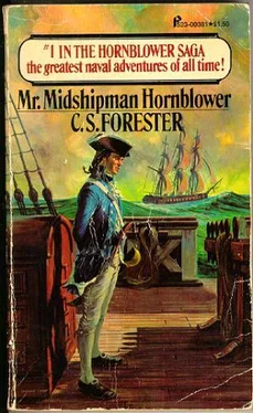 Cecil Forester Mr. Midshipman Hornblower обложка книги