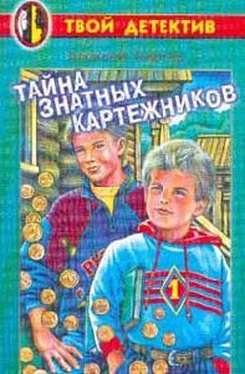 Алексей Биргер Тайна знатных картежников обложка книги