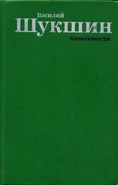Василий Шукшин Киноповести обложка книги