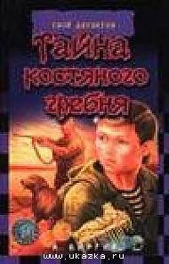 Алексей Биргер Тайна костяного гребня обложка книги