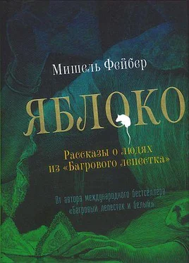 Мишель Фейбер Яблоко. Рассказы о людях из «Багрового лепестка» обложка книги