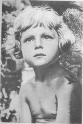 Елена Ильина - Четвертая высота