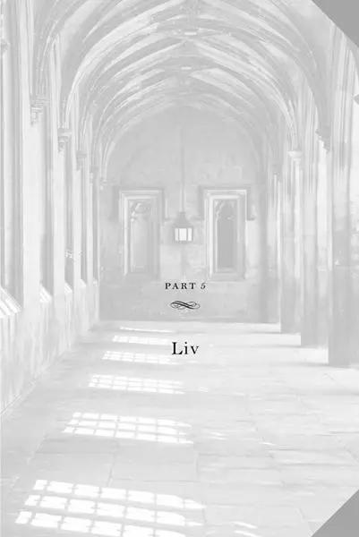 CHAPTER 10 Nick became a calendar Wednesday December second became The - фото 19