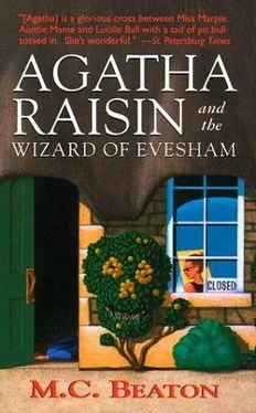 M Beaton Agatha Raisin and the Wizard of Evesham обложка книги