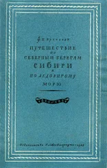 Фердинанд Врангель - Путешествие по северным берегам Сибири и по Ледовитому морю