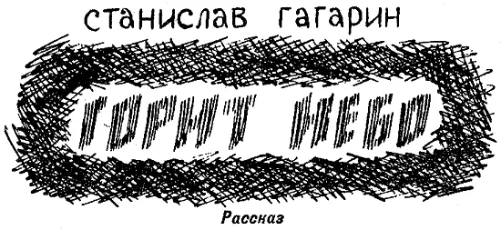 Когда уставали крылья он любил сидеть на клокастом суку высохшей лиственницы - фото 10