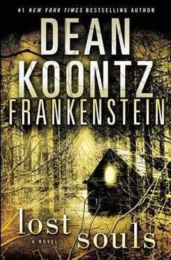 Dean Koontz Lost Souls обложка книги