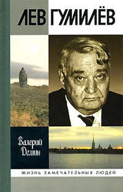 Валерий Демин Лев Гумилев обложка книги