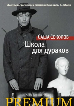 Саша Соколов Школа для дураков обложка книги