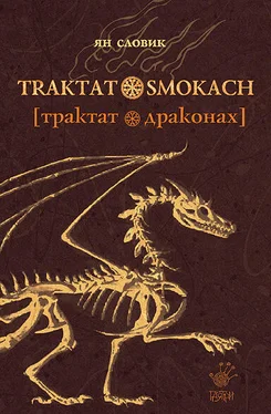 Ян Словик Трактат о драконах обложка книги